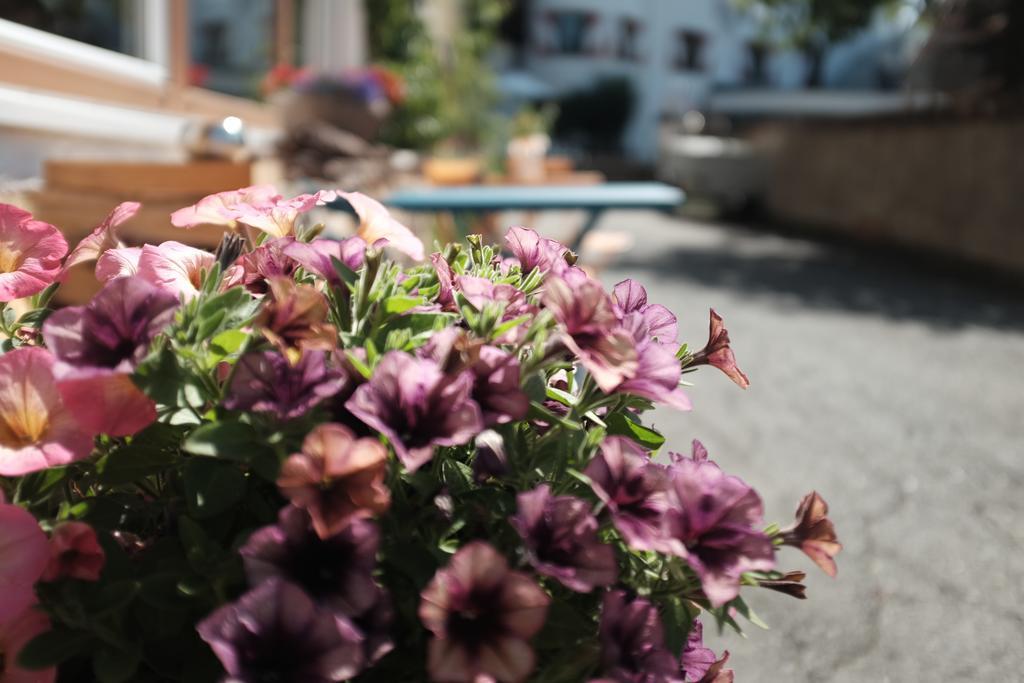 Pension Horfarter Fieberbrunn Buitenkant foto